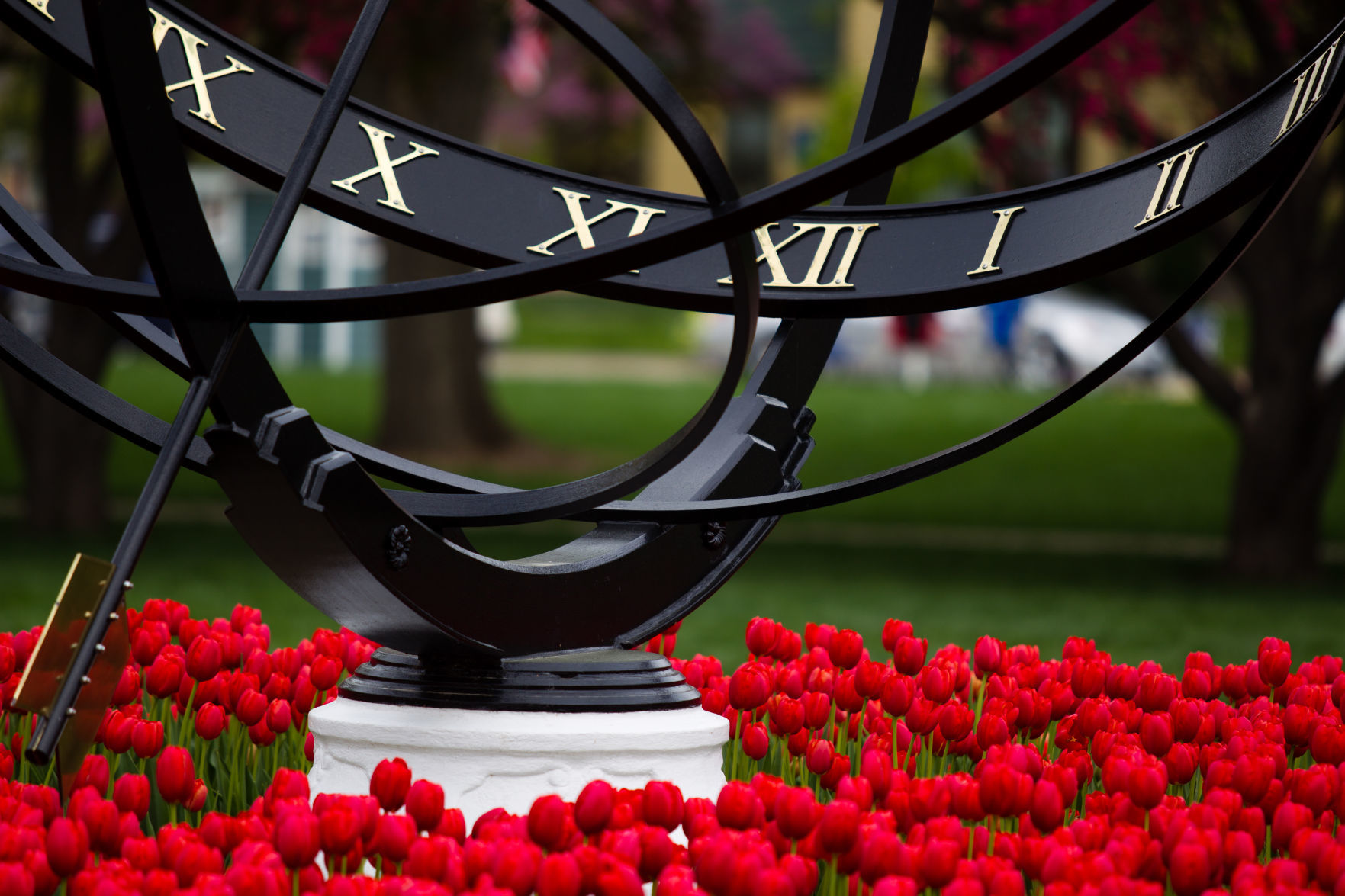 84th ANNUAL TULIP TIME